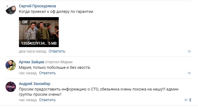В Омске обезьяна убежала из ночного клуба на работу в СТО В Омске обезьяна убежала из ночного клуба на работу в СТО