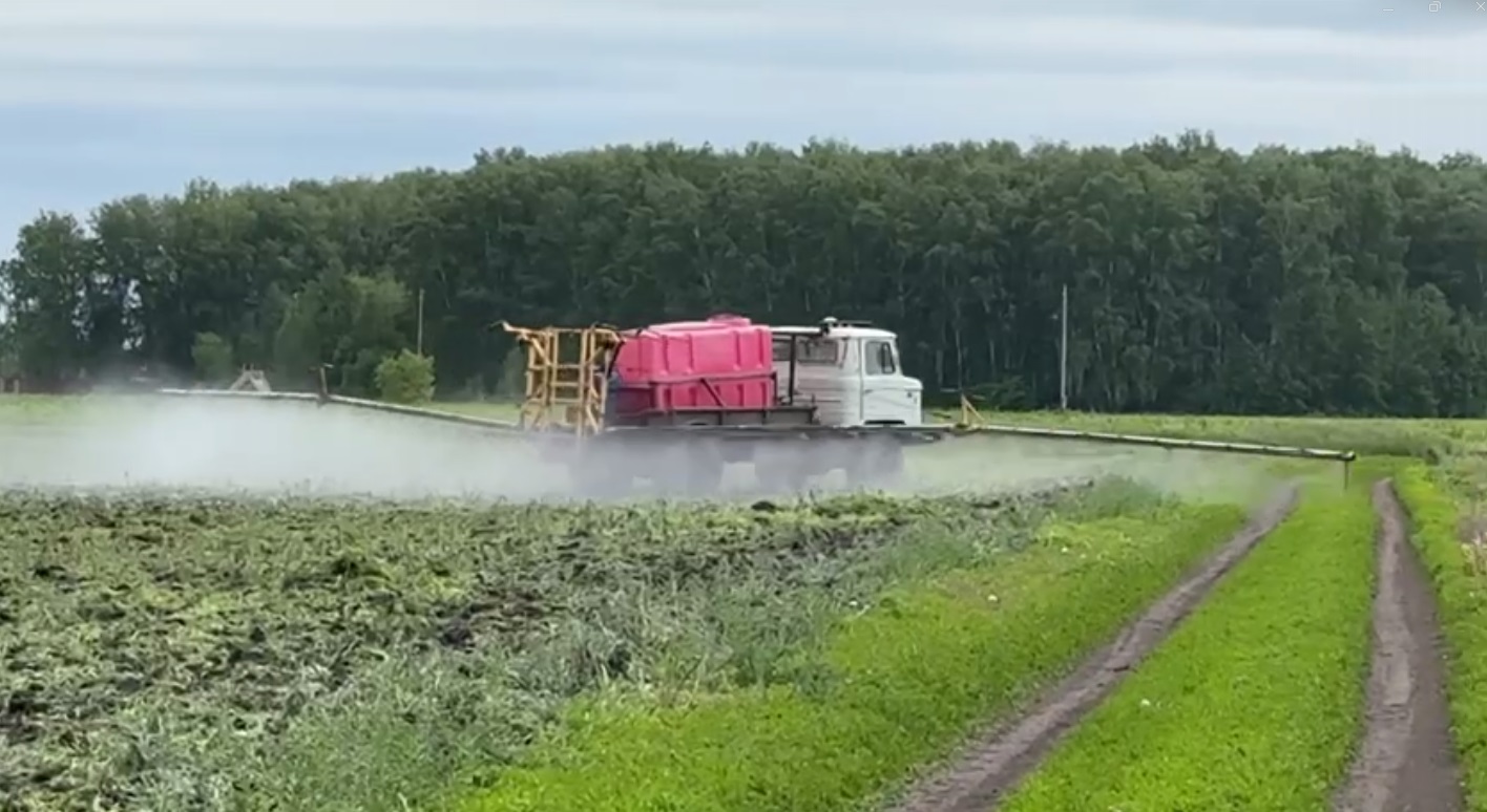 В Омской области приступили к борьбе с вторжением жуков В Омской области приступили к борьбе с вторжением жуков