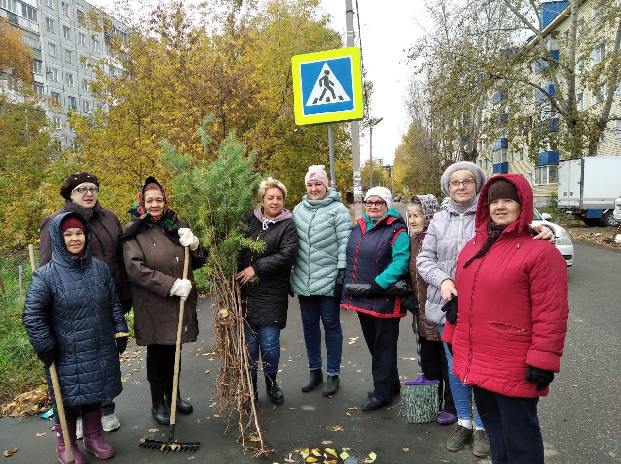 Осень, пора благоустройства! Осень, пора благоустройства!