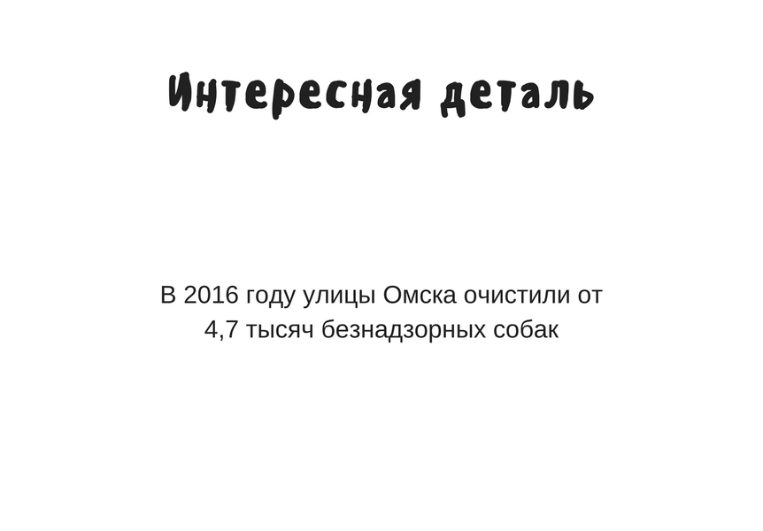 Прощальный отчет Двораковского: чем похвалился мэр Омска перед депутатами Прощальный отчет Двораковского: чем похвалился мэр Омска перед депутатами