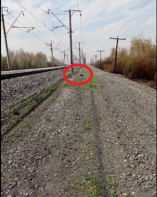 «Пошатывалась и чуть не попала к нам под колеса»: очевидцы о гибели молодой омички после ссоры с мужем «Пошатывалась и чуть не попала к нам под колеса»: очевидцы о гибели молодой омички после ссоры с мужем