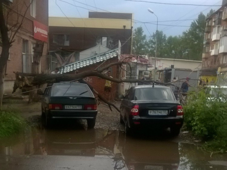 Ураган в Омске: «По улицам летали деревья» Ураган в Омске: «По улицам летали деревья»
