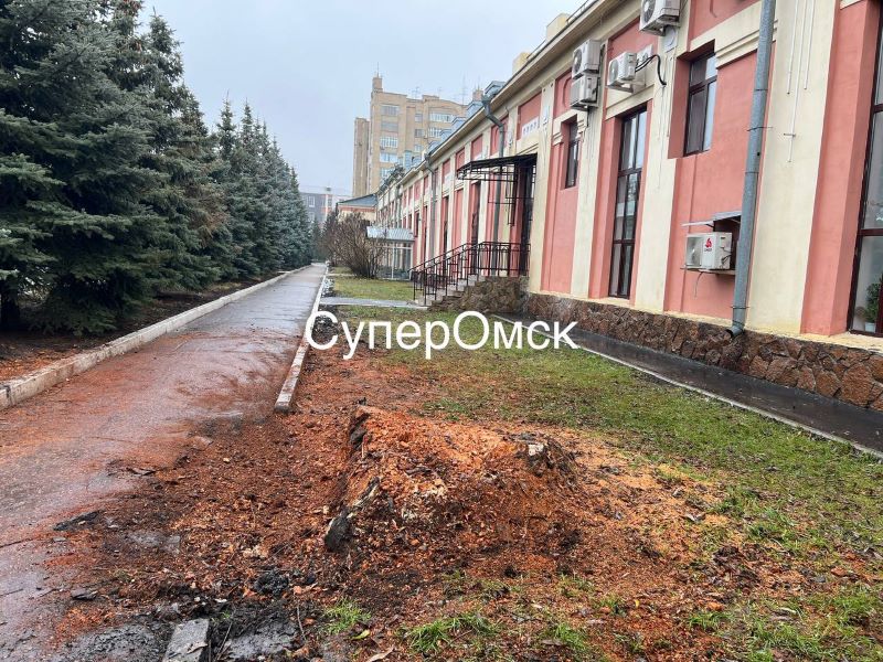 В Омске снесли 100-летнюю «Белую иву»