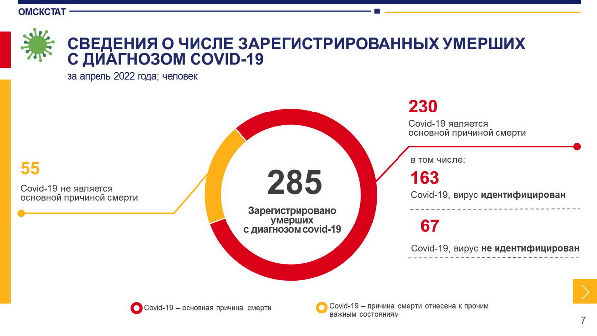 Статистики открыли противоречивые данные по смертности в Омской области