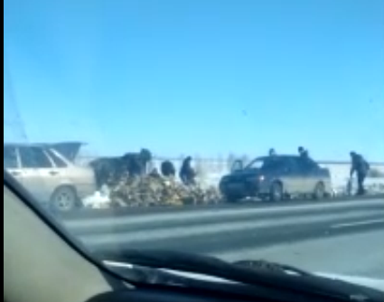 В смертельном ДТП на трассе Омск – Новосибирск погиб победитель конкурса «Мисс травести – Сибирь 2020»