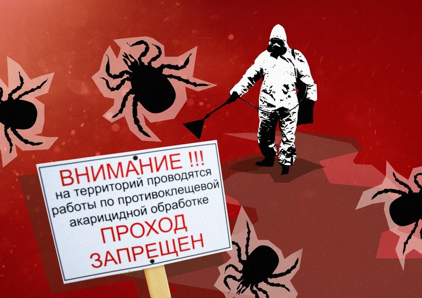 ТРЕНДЫ НЕДЕЛИ: старт «мусорной реформы», повышение пенсий и борьба с клещами ТРЕНДЫ НЕДЕЛИ: старт «мусорной реформы», повышение пенсий и борьба с клещами