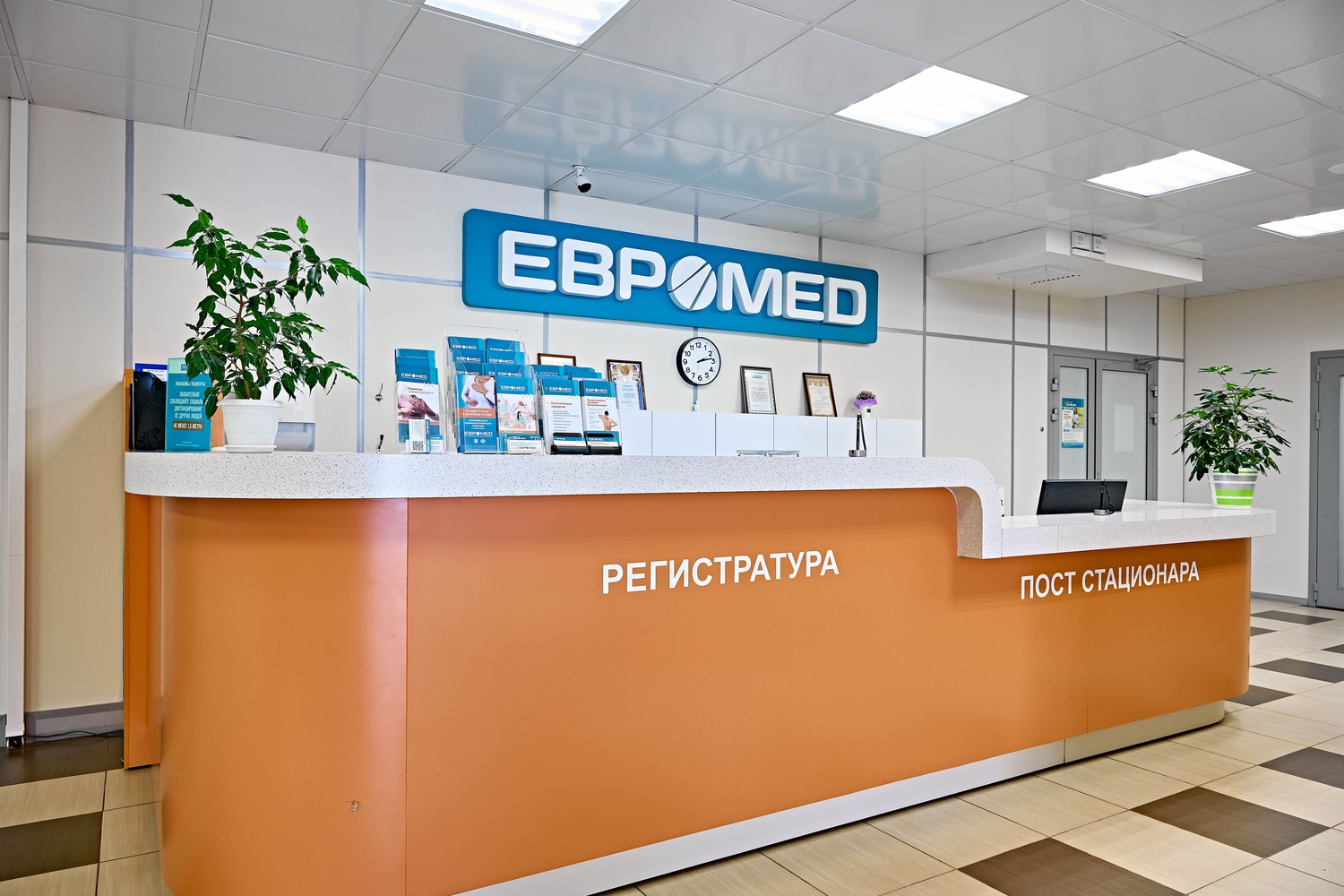 Замена суставов, лечение бесплодия и многое другое: бесплатные операции в «Евромеде» в 2026 году Замена суставов, лечение бесплодия и многое другое: бесплатные операции в «Евромеде» в 2026 году
