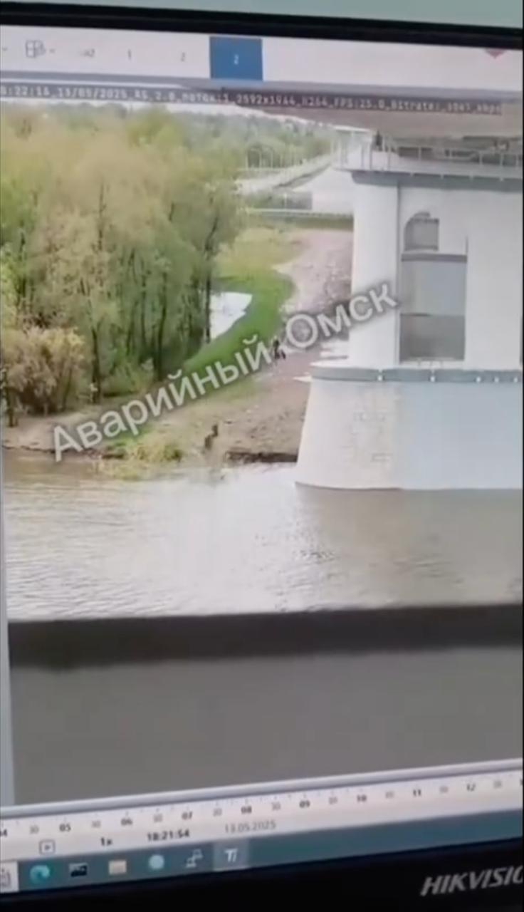 В Омске самокатчик слетел с Ленинградского моста в Иртыш В Омске самокатчик слетел с Ленинградского моста в Иртыш