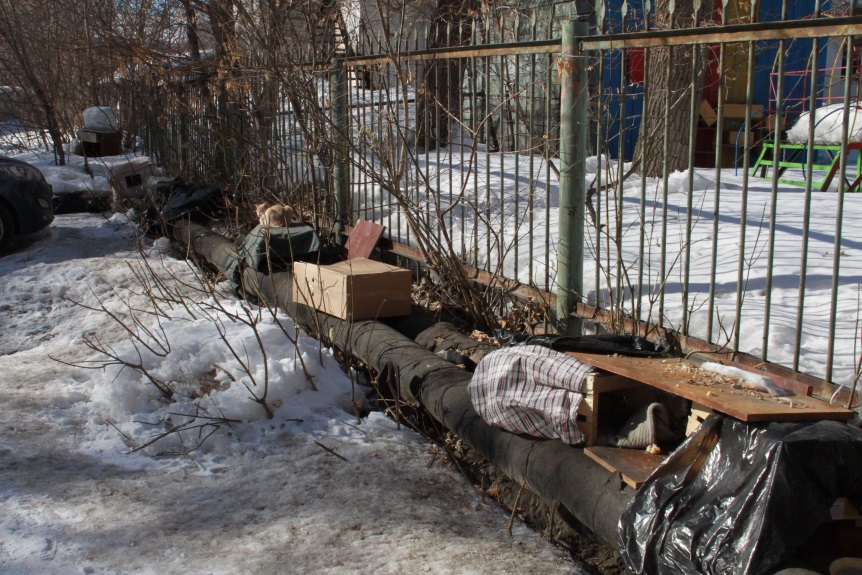 Омские мамочки воюют с детсадом, который облюбовали бездомные люди и кошки Омские мамочки воюют с детсадом, который облюбовали бездомные люди и кошки