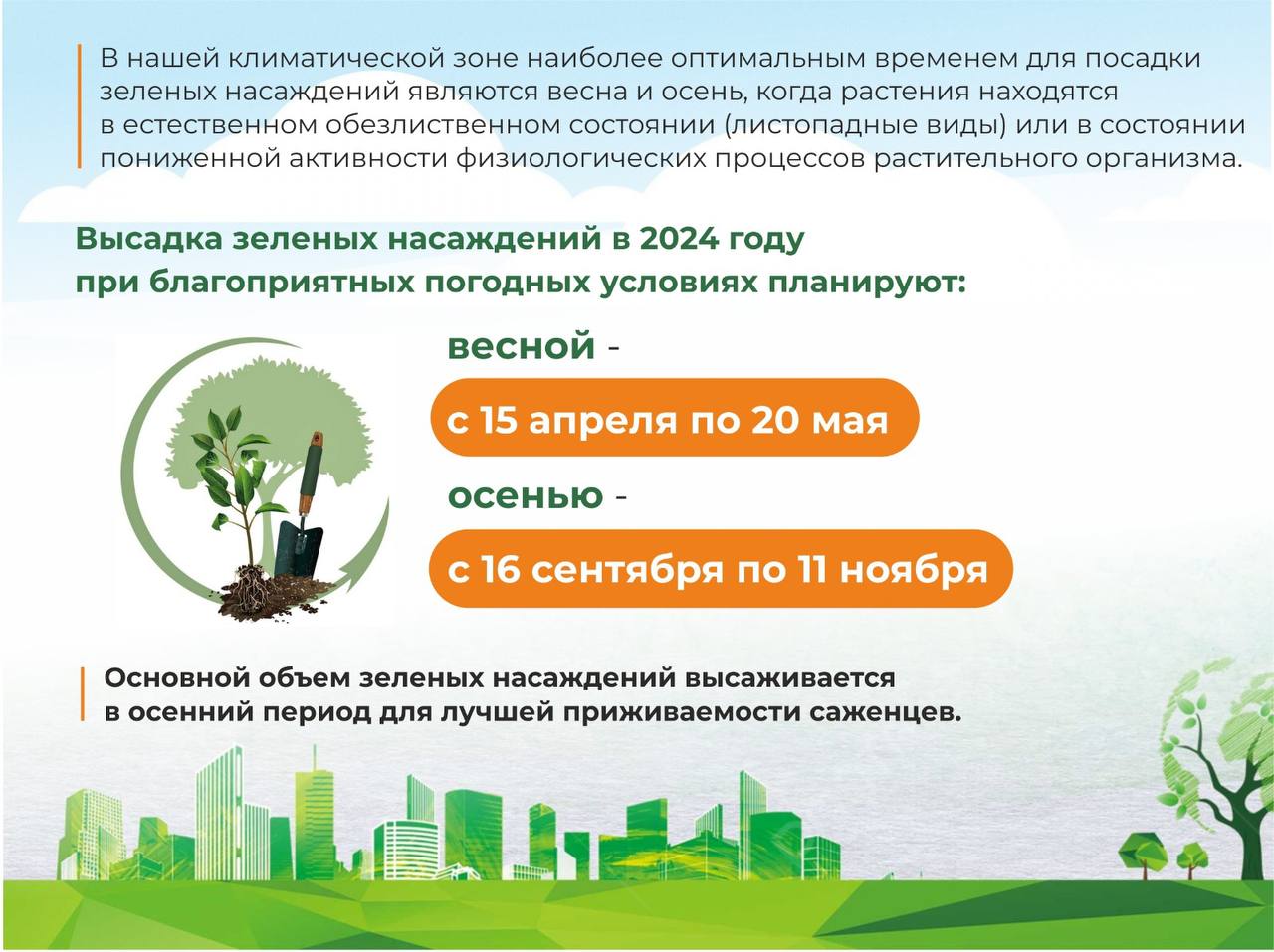 Заявлены масштабные планы по озеленению Омска в 2024 году Заявлены масштабные планы по озеленению Омска в 2024 году