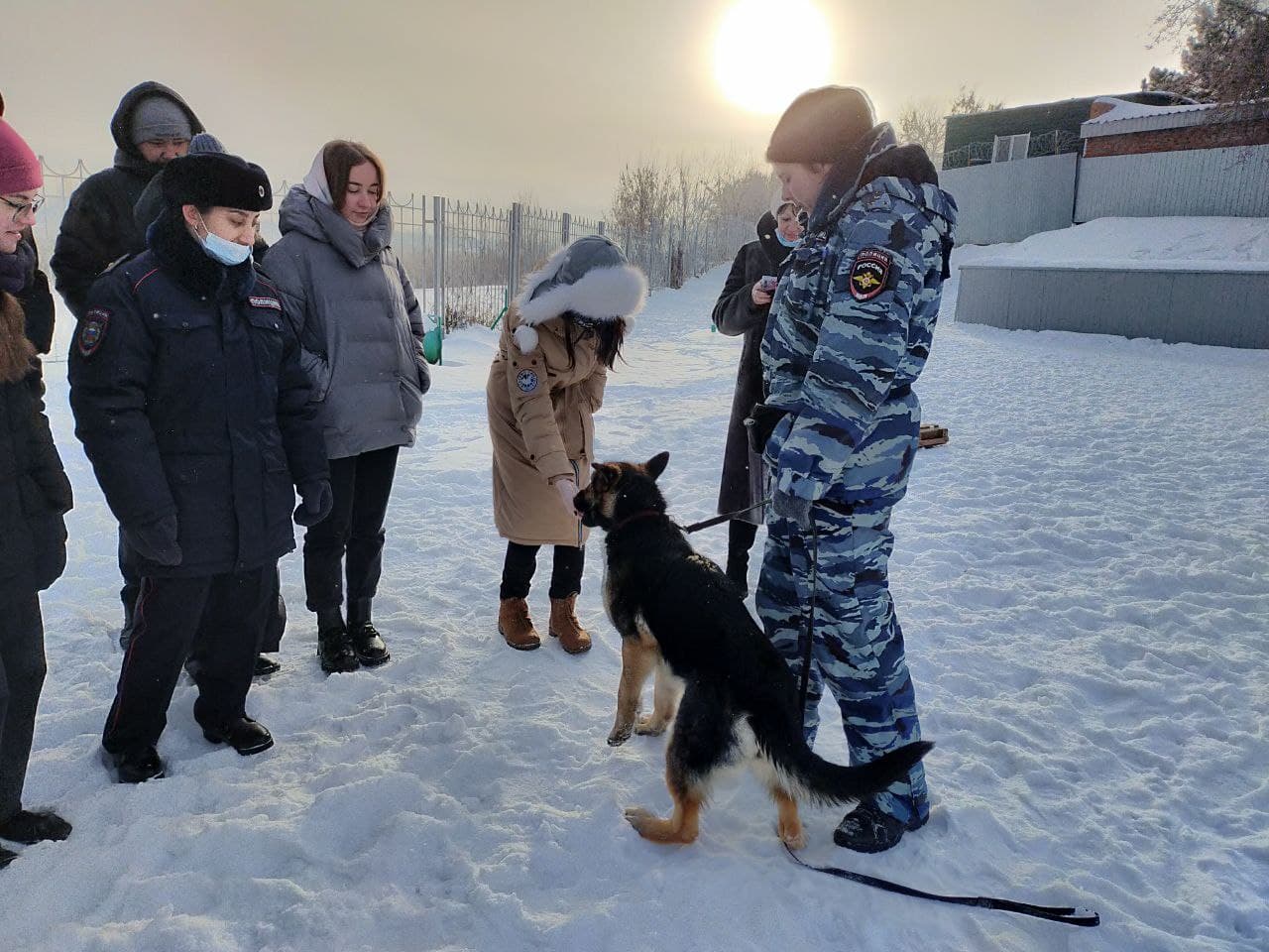 Омские служебные собаки в рамках «Студенческого десанта» показали, как ищут преступников и взрывчатку Омские служебные собаки в рамках «Студенческого десанта» показали, как ищут преступников и взрывчатку