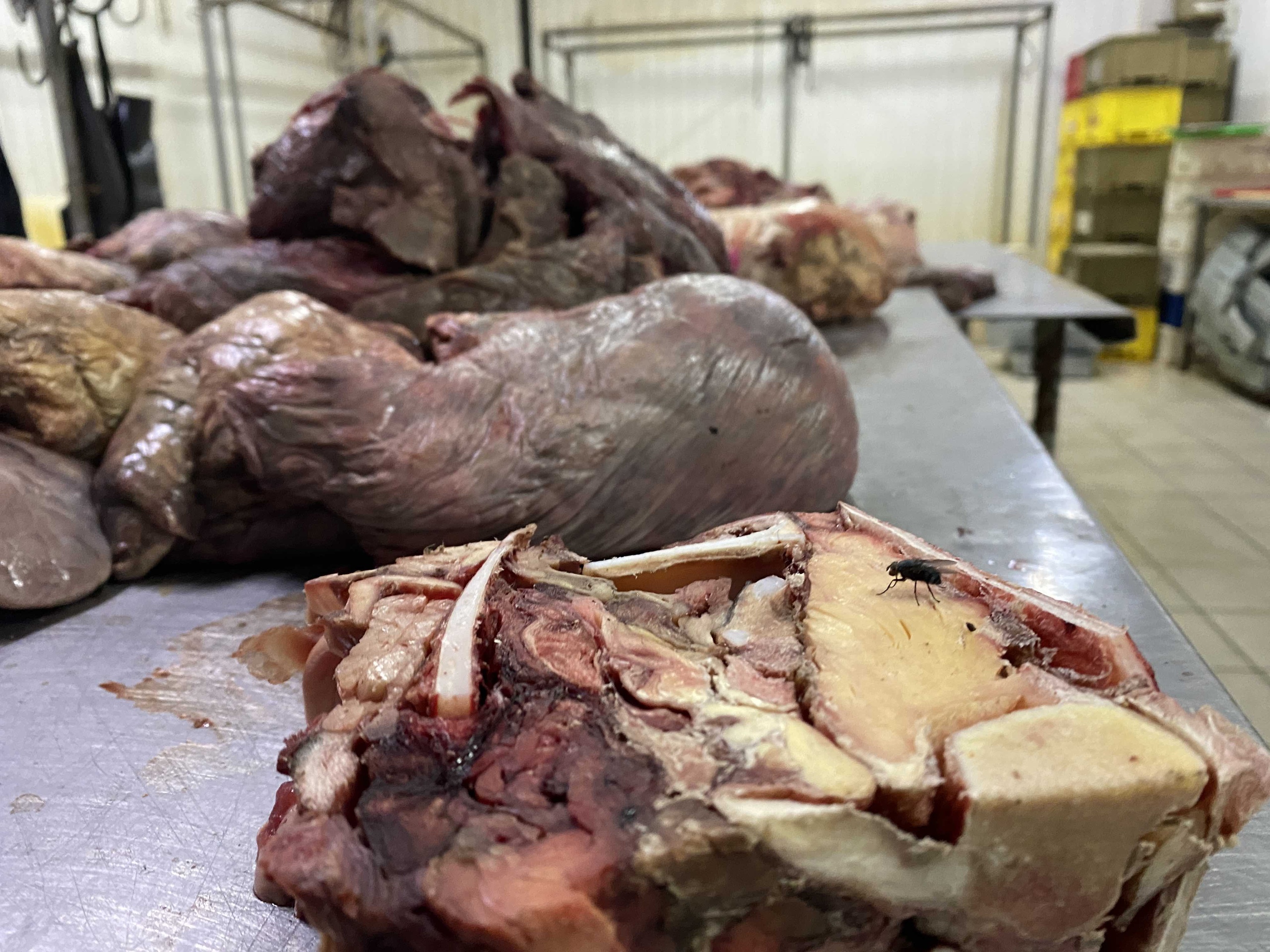 Во время облавы на омский цех с подгнивающим мясом нашлась накладная поставщика в детские сады Во время облавы на омский цех с подгнивающим мясом нашлась накладная поставщика в детские сады