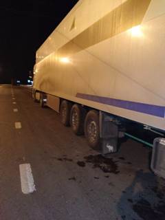 Куриц без гарантий из Казахстана не пустили в Омск Куриц без гарантий из Казахстана не пустили в Омск