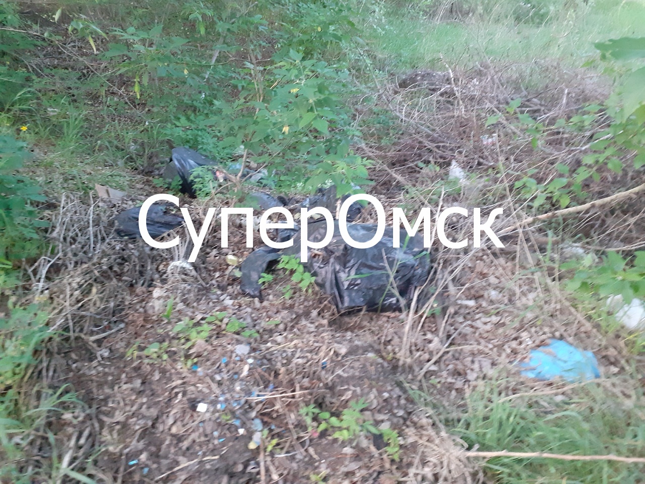 Омичи в период коронавируса устроили ночные автотусовки в охранной зоне на окраине города – фото Омичи в период коронавируса устроили ночные автотусовки в охранной зоне на окраине города – фото