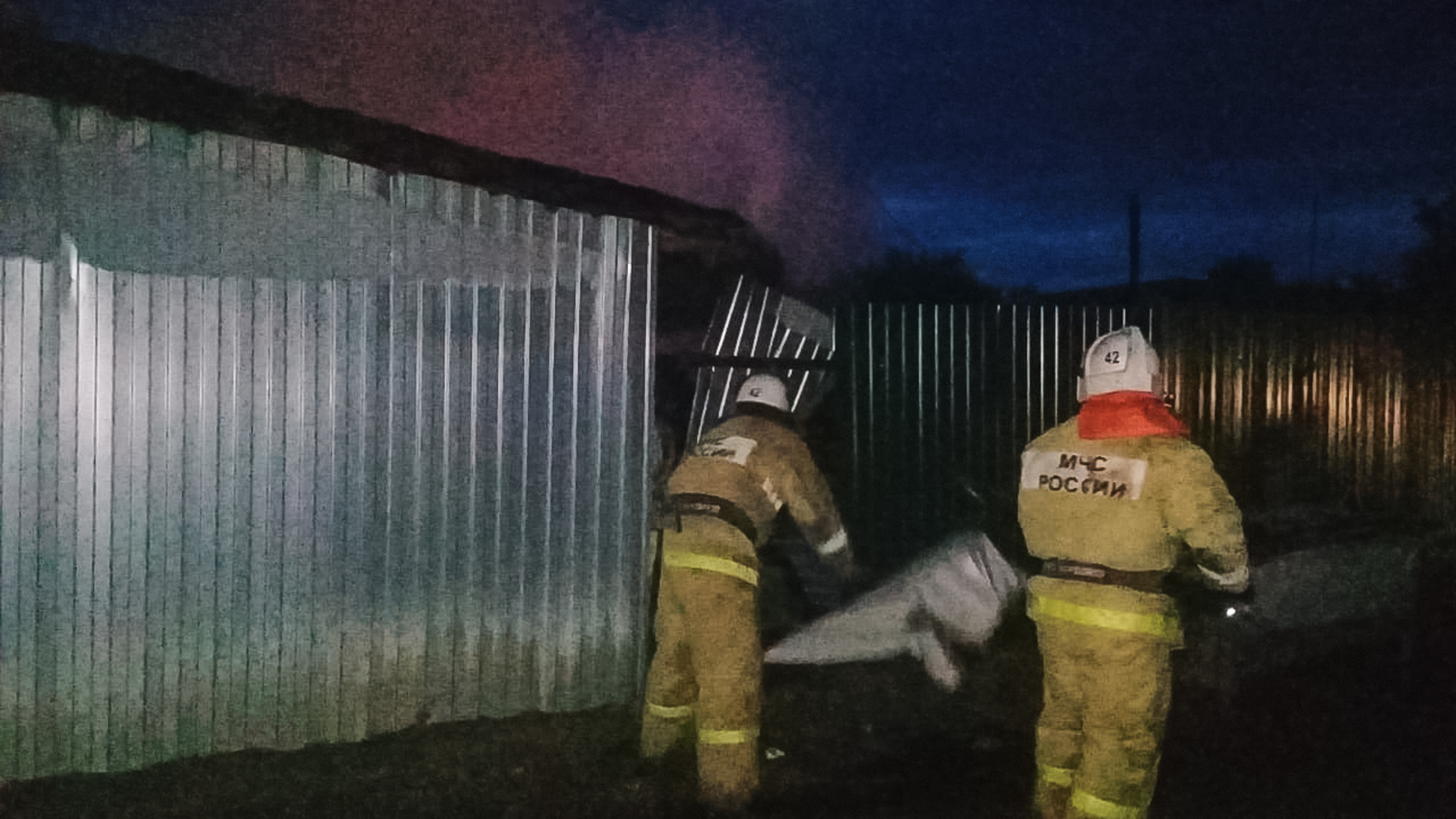 Под Омском куры и свиньи оказались замурованными в смертельном плену полыхающего дома