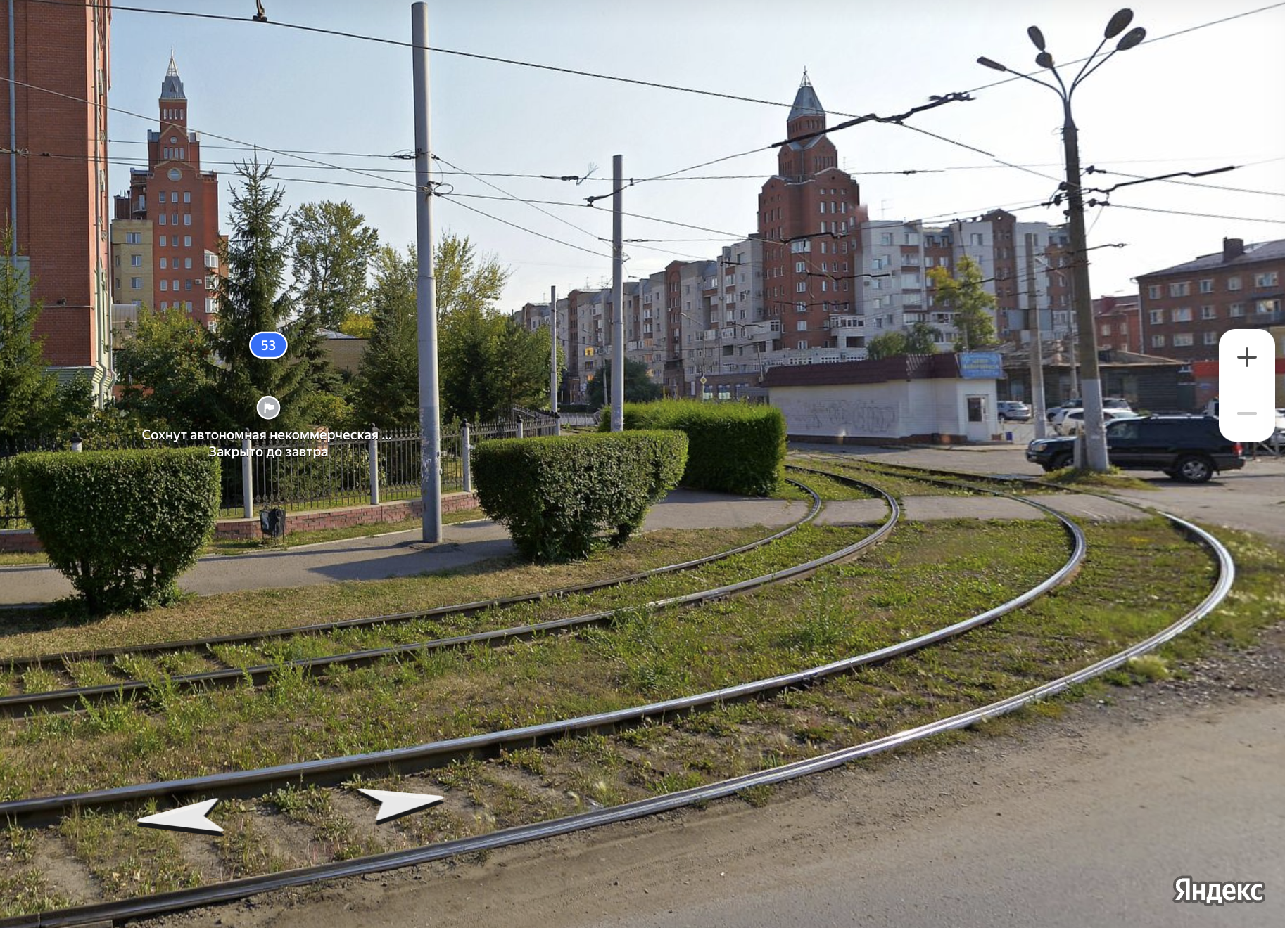 В Омске спилили зеленую изгородь на улице Маршала Жукова В Омске спилили зеленую изгородь на улице Маршала Жукова