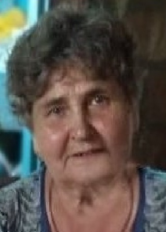 Для поисков пропавшей в Омской области пенсионерки на велосипеде не хватает людей Для поисков пропавшей в Омской области пенсионерки на велосипеде не хватает людей