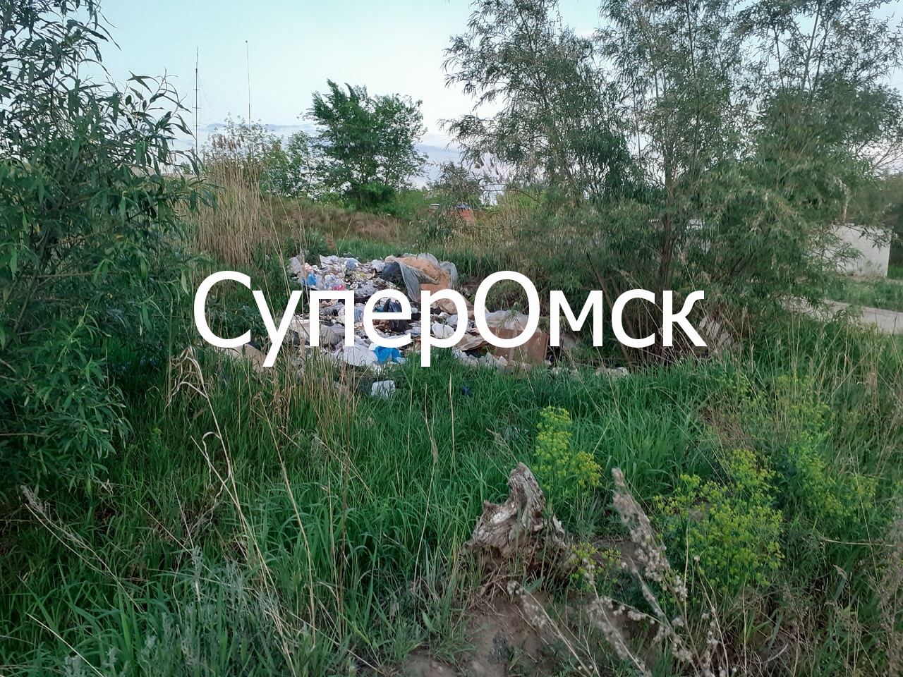 Омичи в период коронавируса устроили ночные автотусовки в охранной зоне на окраине города – фото Омичи в период коронавируса устроили ночные автотусовки в охранной зоне на окраине города – фото