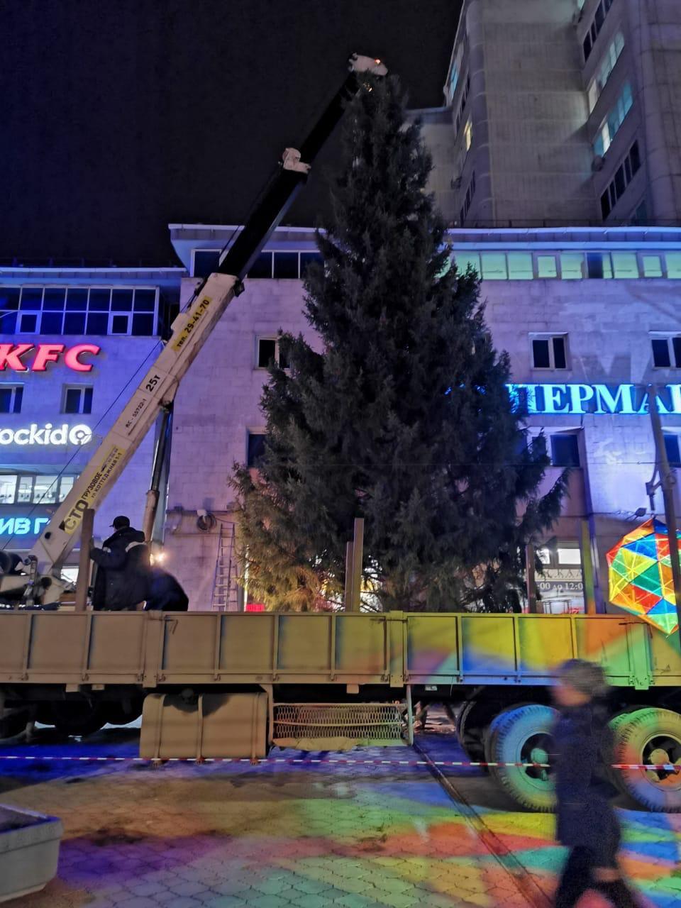 В Омске установили рекордную новогоднюю елку В Омске установили рекордную новогоднюю елку