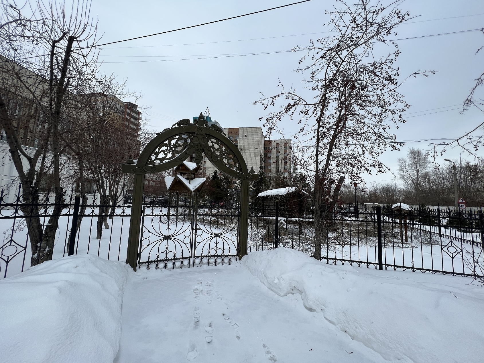Малый сквер в центре Омска кронировали Малый сквер в центре Омска кронировали