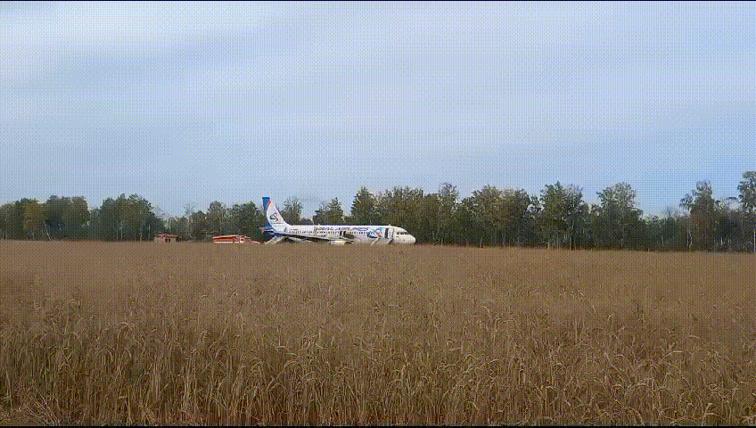 Появились кадры с места посадки самолета Сочи – Омск в поле под Новосибирском Появились кадры с места посадки самолета Сочи – Омск в поле под Новосибирском