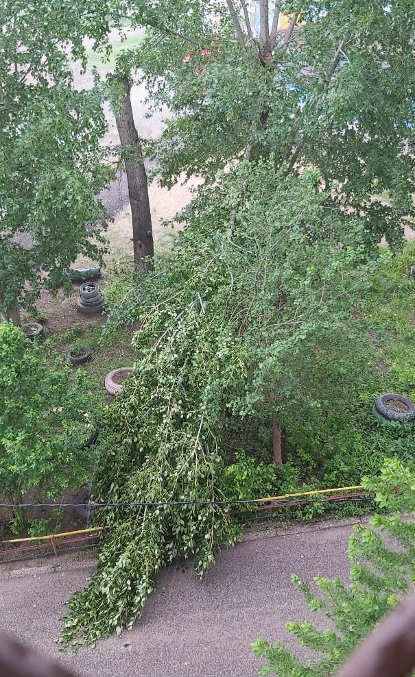 Кратковременный ураган в Омске не остался без последствий – ФОТО Кратковременный ураган в Омске не остался без последствий – ФОТО