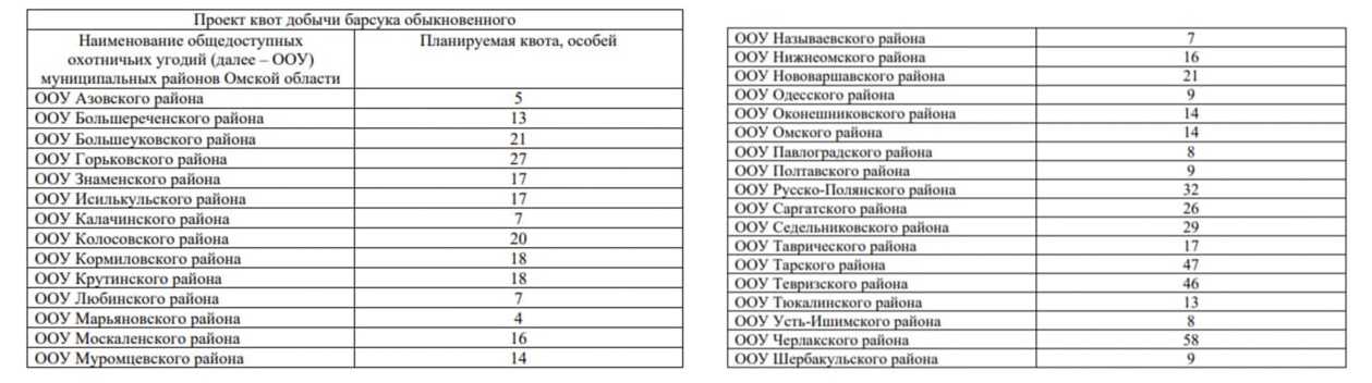 В Омске объявили охоту на барсучий жир В Омске объявили охоту на барсучий жир