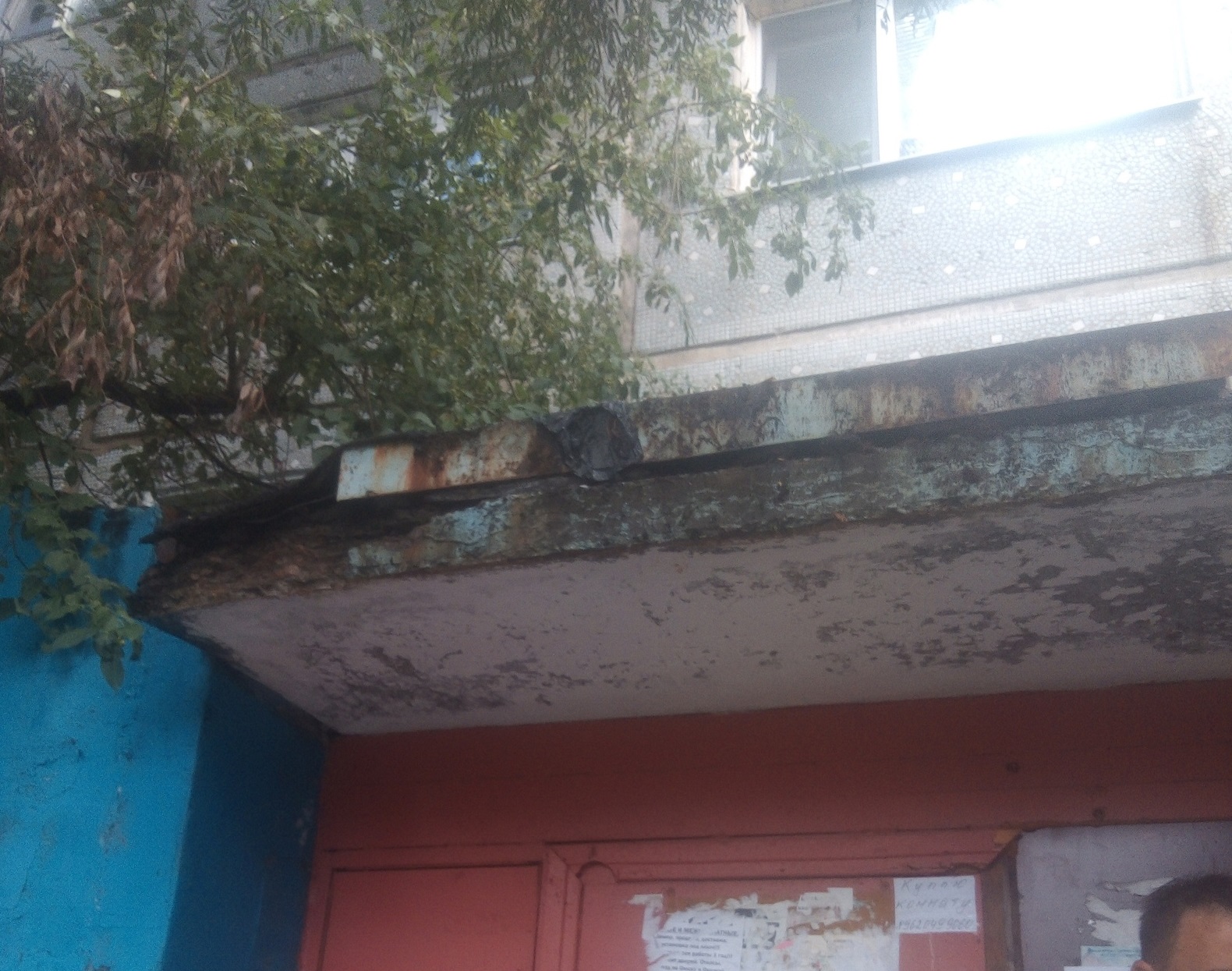 Омичи показали ужасы загадочного дома Омичи показали ужасы загадочного дома