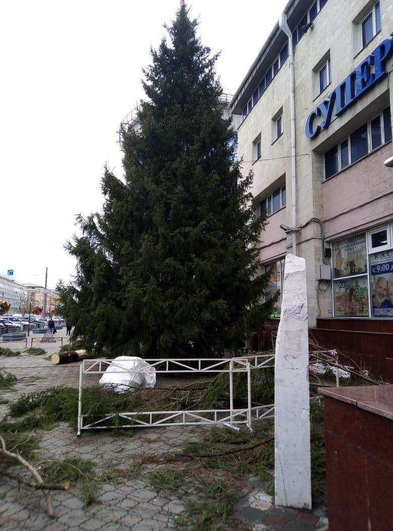 В Омске установили рекордную новогоднюю елку В Омске установили рекордную новогоднюю елку