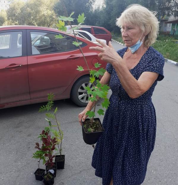 Омский депутат Инна Гомолко наградила участников смотра-конкурса «Омские улицы»