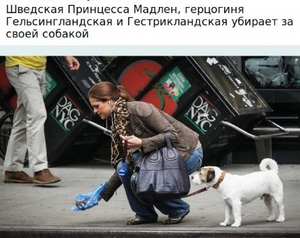 Собака Собака